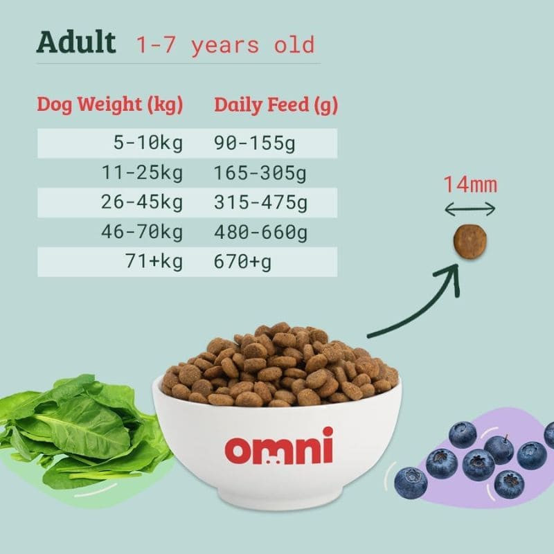 croquette vegan adult dogs omni pet food