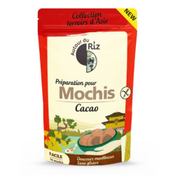 préparation pour mochis cacao autour du riz 200g